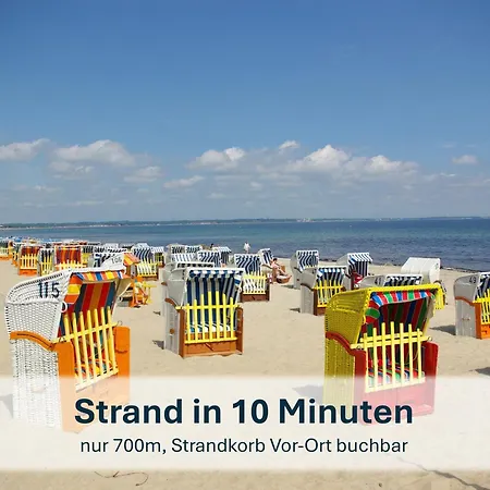 Beethoven Mit Ladestation